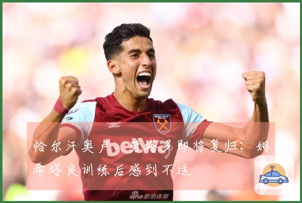 恰尔汗奥卢、劳塔罗即将复归；姆希塔良训练后感到不适